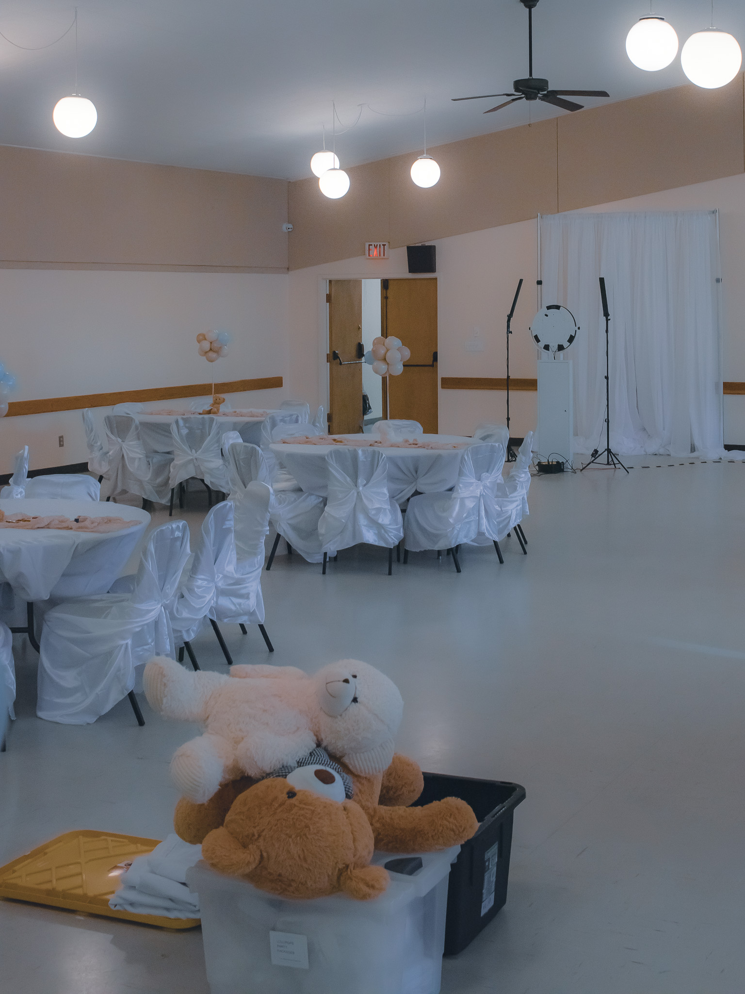 Party Rentals