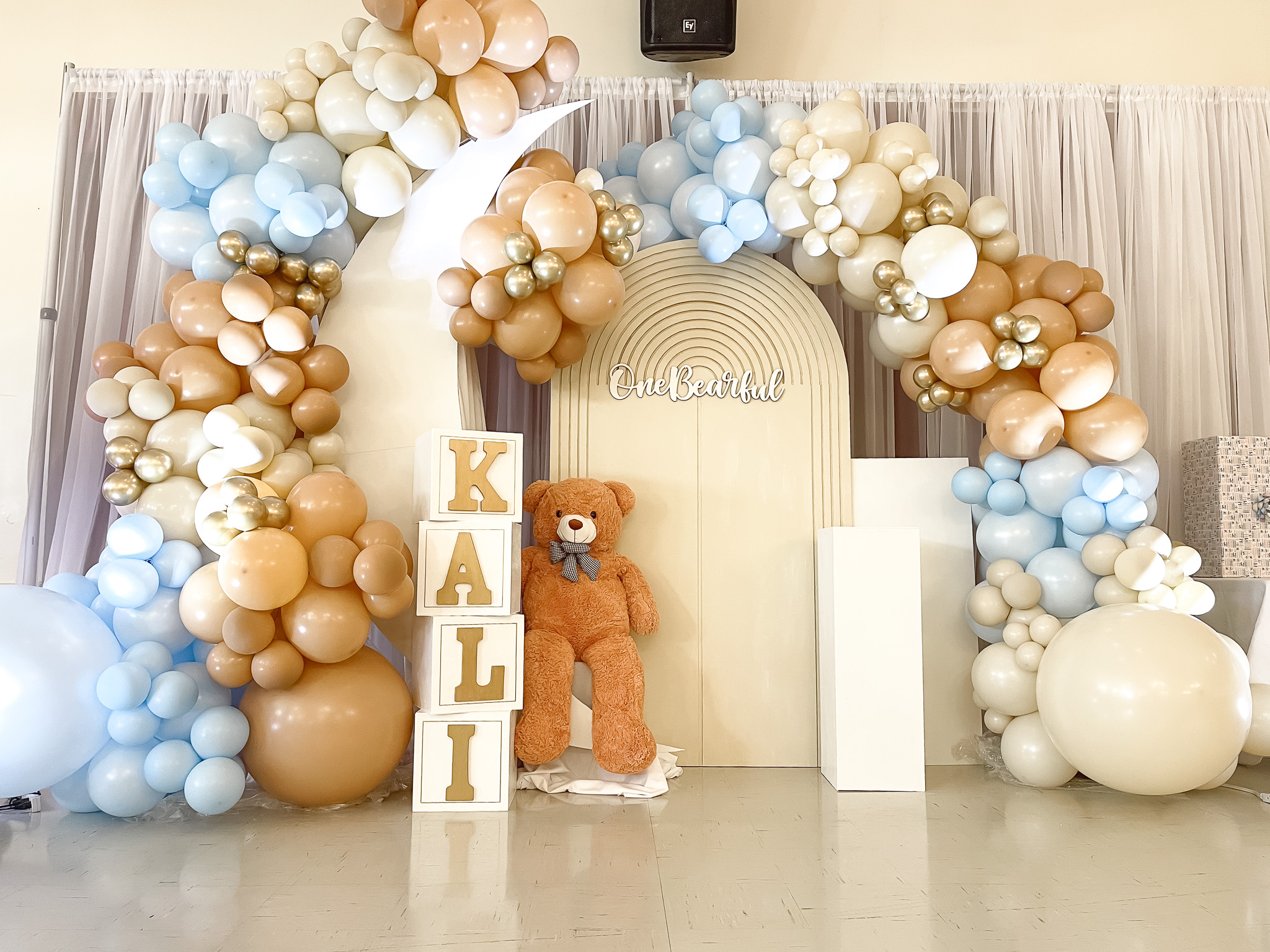 Balloon Designs